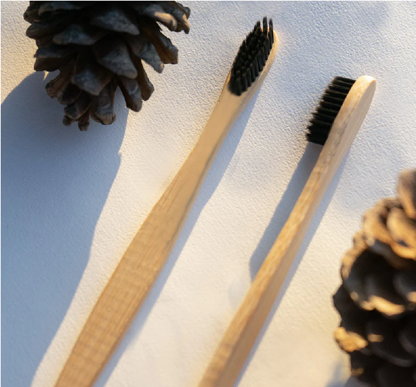 Bambu Diş Fırçası